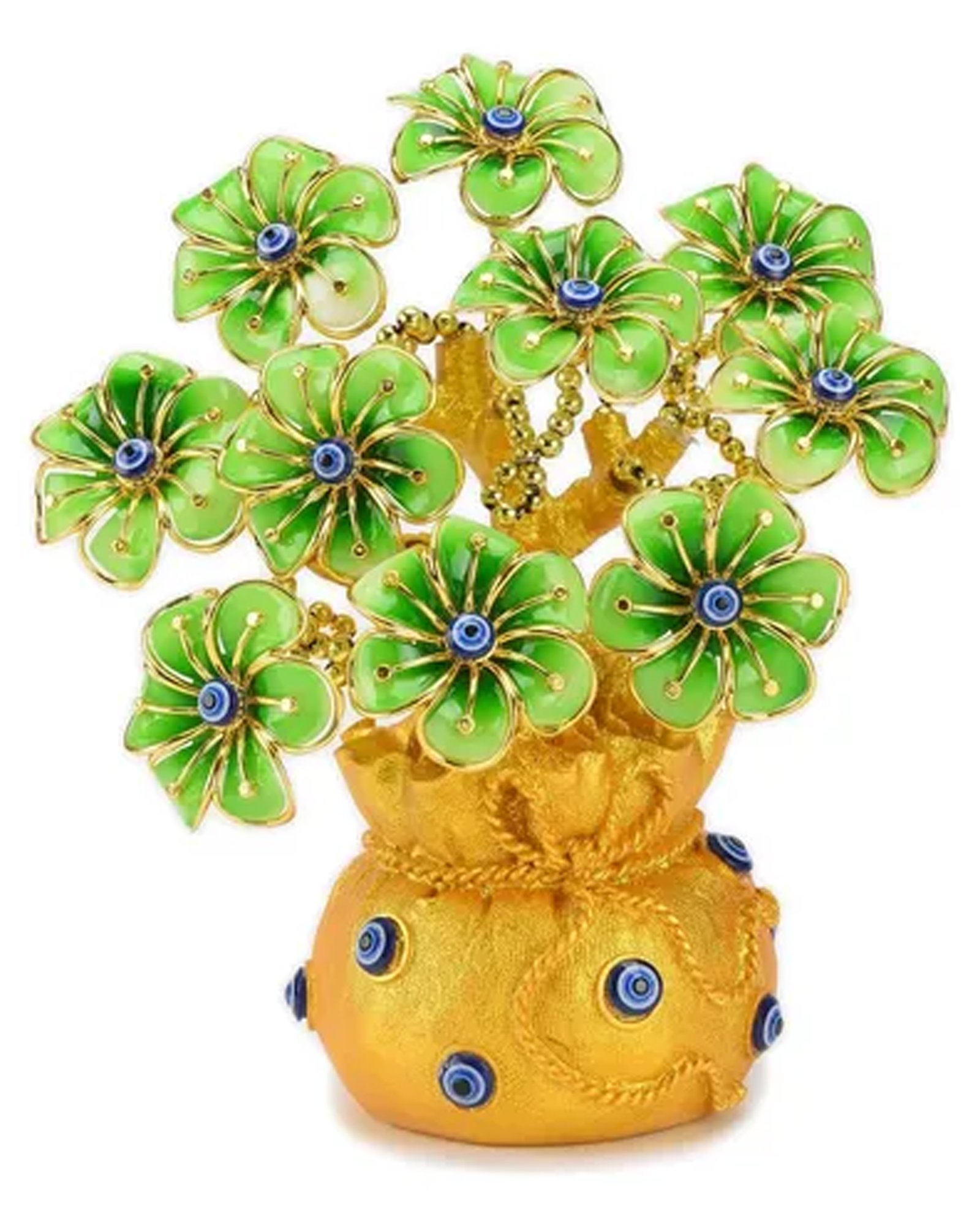 Evil eye plant